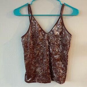 American Eagle Outfitters Brown Velvet Camisole